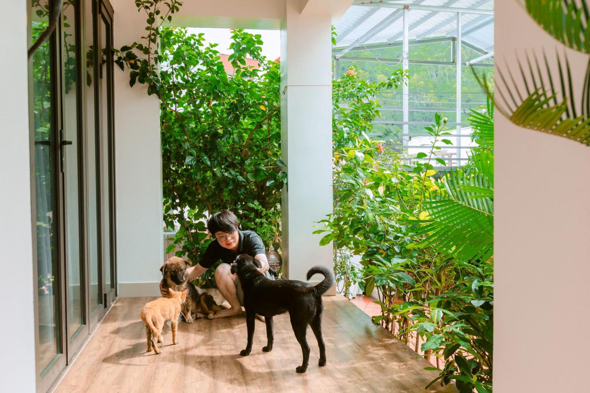 D'Home Homestay Cat Ba Dong Khe Sau Dış mekan fotoğraf