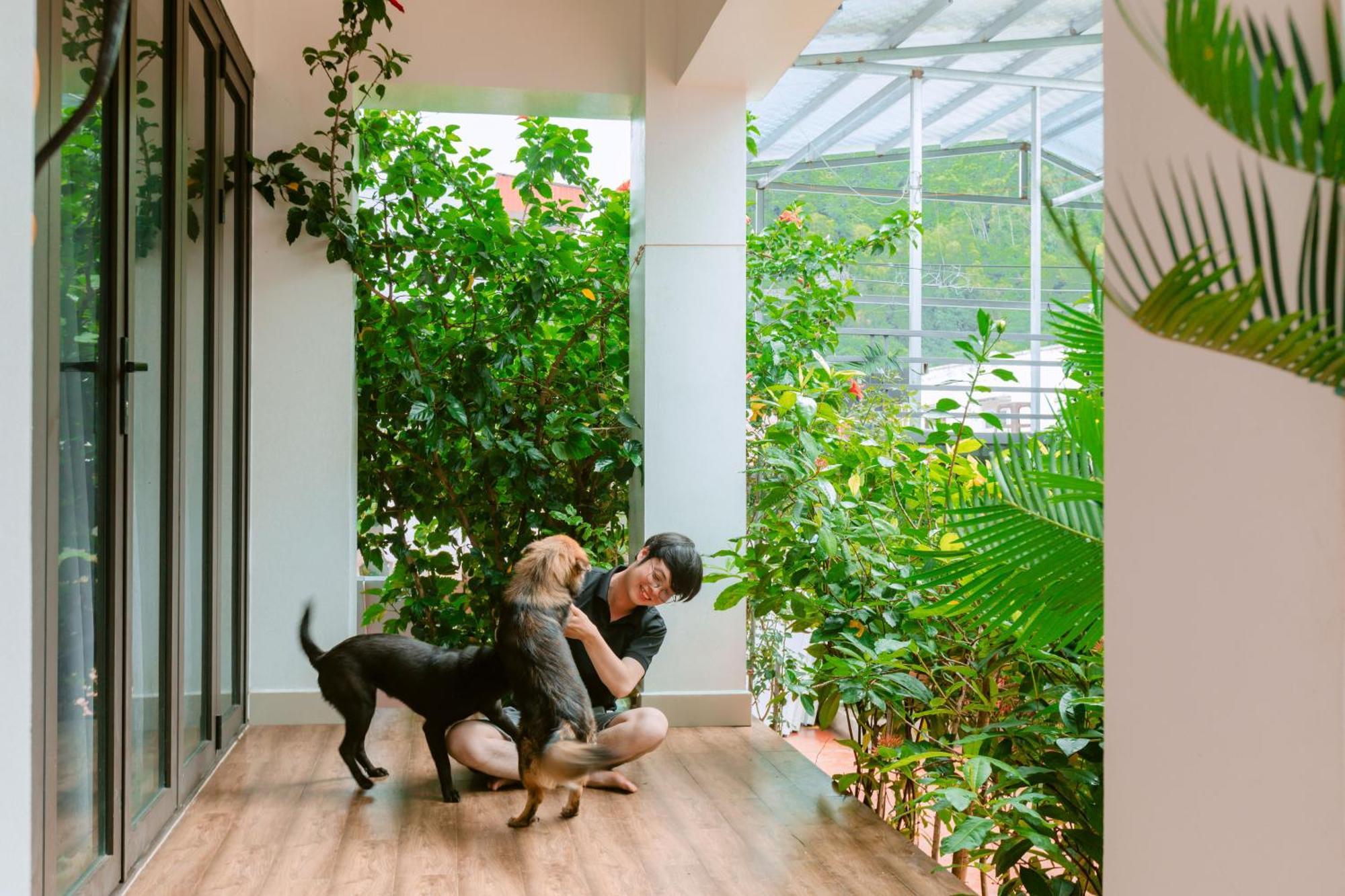 D'Home Homestay Cat Ba Dong Khe Sau Dış mekan fotoğraf