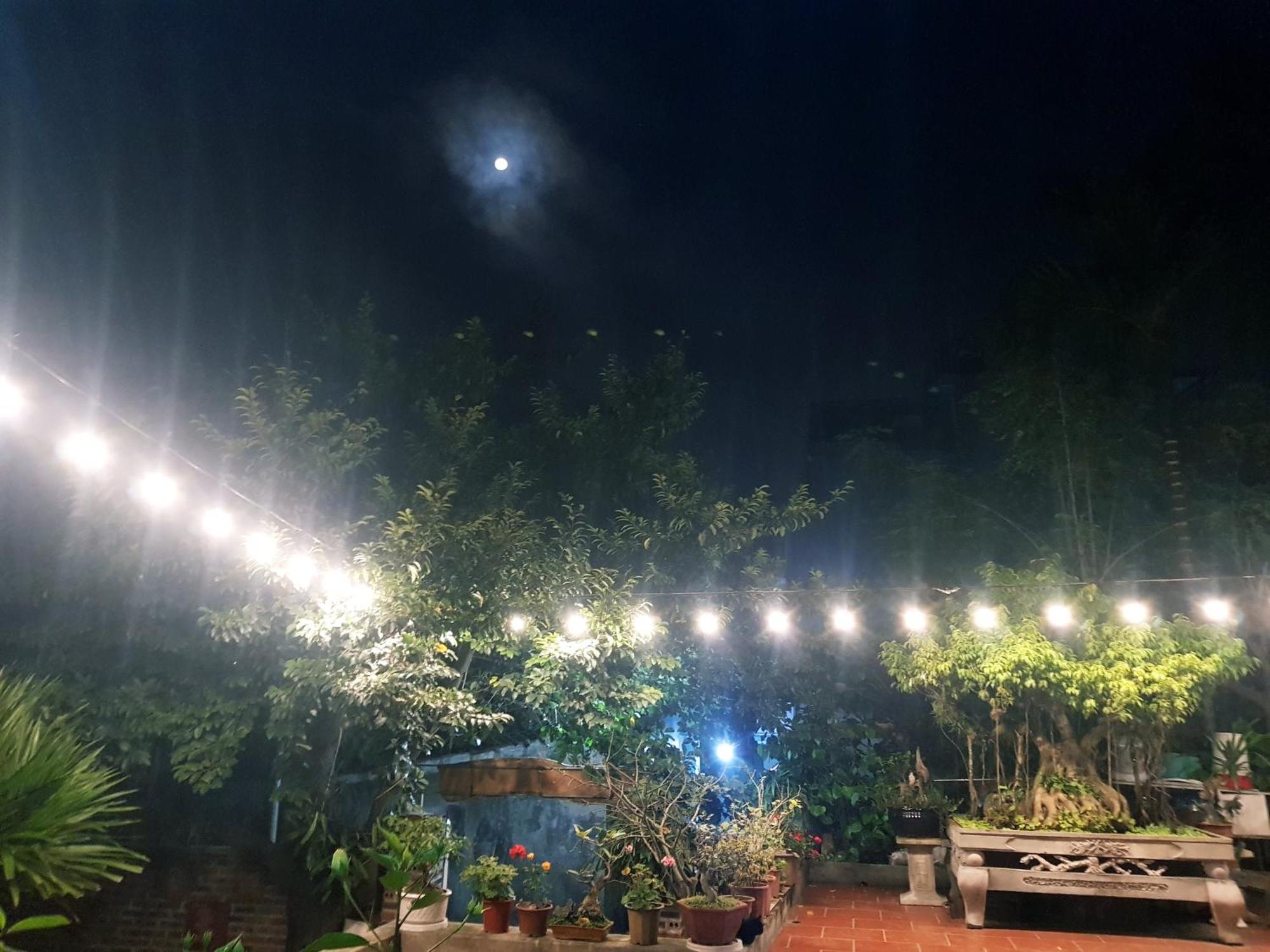 D'Home Homestay Cat Ba Dong Khe Sau Dış mekan fotoğraf